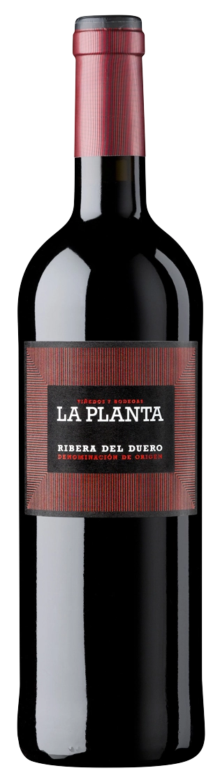 Arzuaga La Planta 3/4
